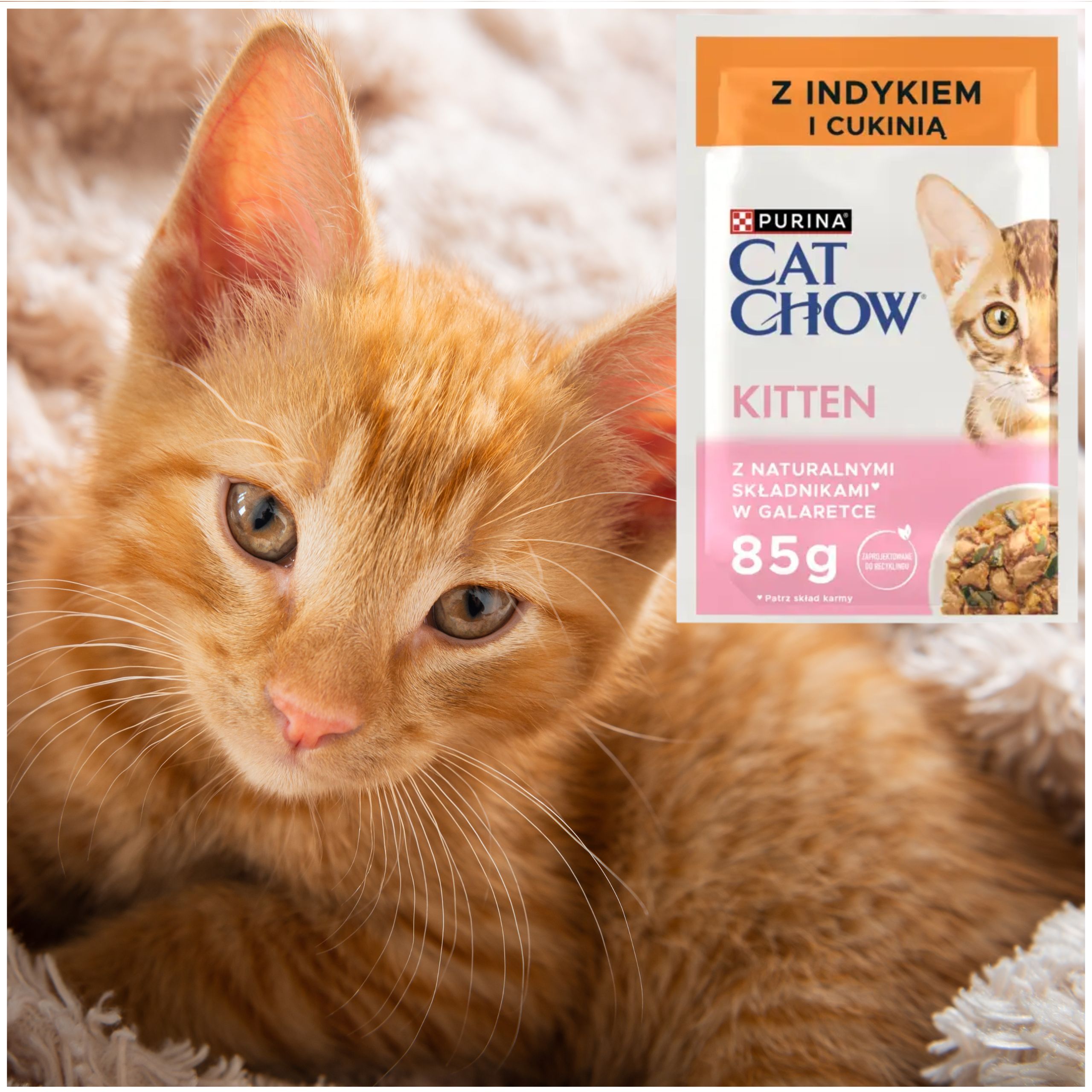 KARMA MOKRA DLA KOCIĄT PURINA CAT CHOW KITTEN INDYK Z CUKINIĄ NATURALNA 85g