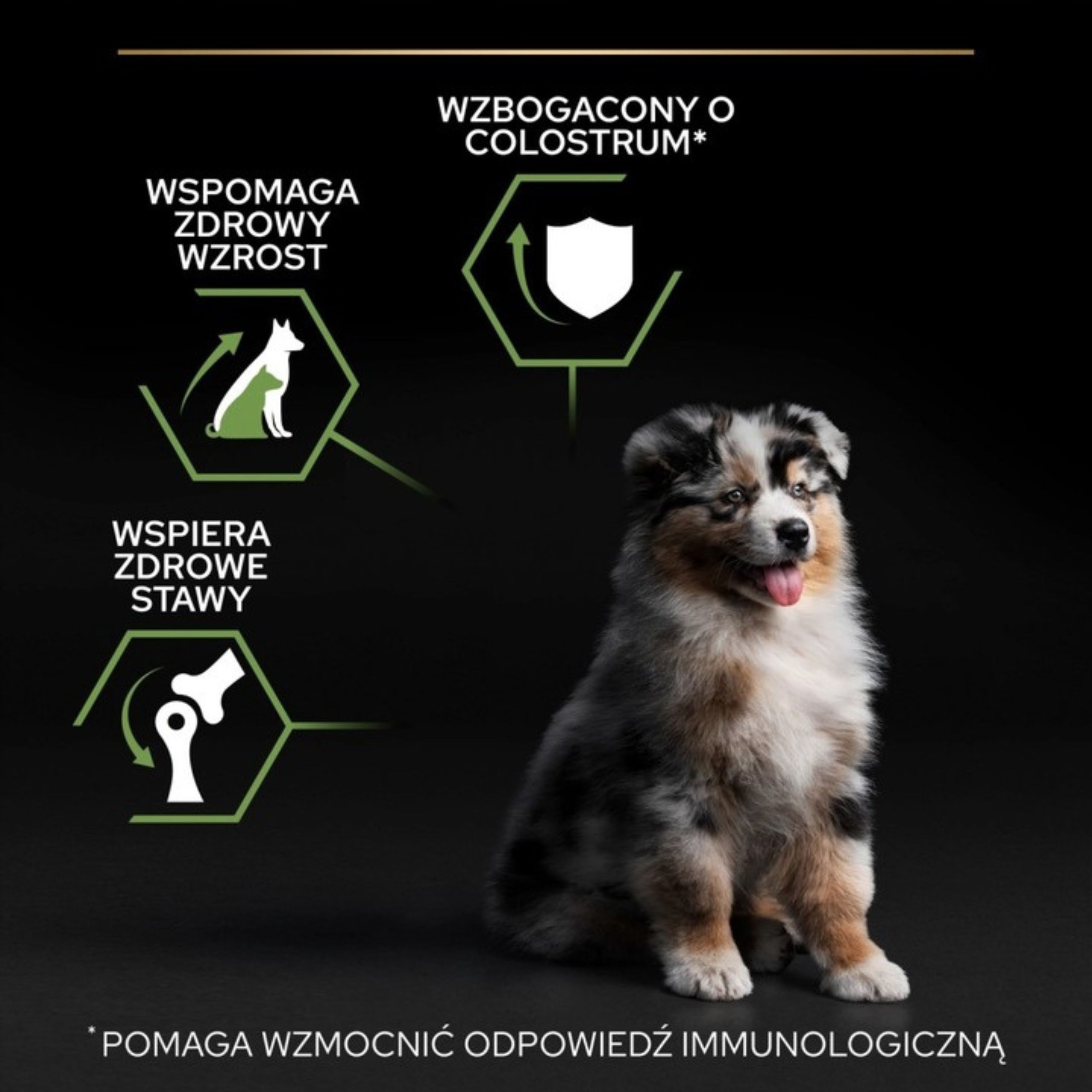 KARMA DLA PSA PURINA PRO PLAN MEDIUM PUPPY HEALTHY START KURA 12KG SZCZENIĘ