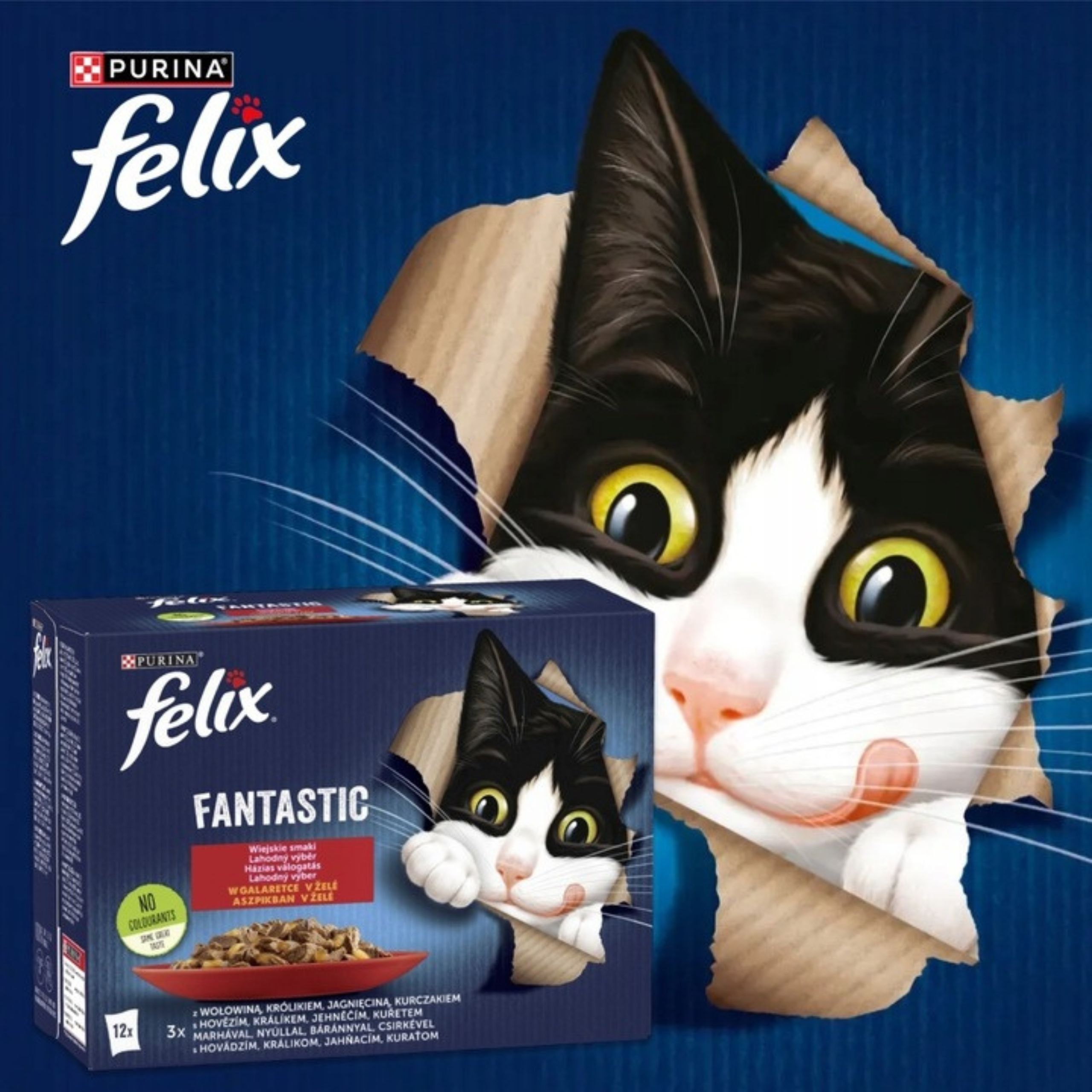KARMA MOKRA DLA KOTA FELIX FANTASTIC WIEJSKIE SMAKI MIX Z MIĘSEM 12 X 85G