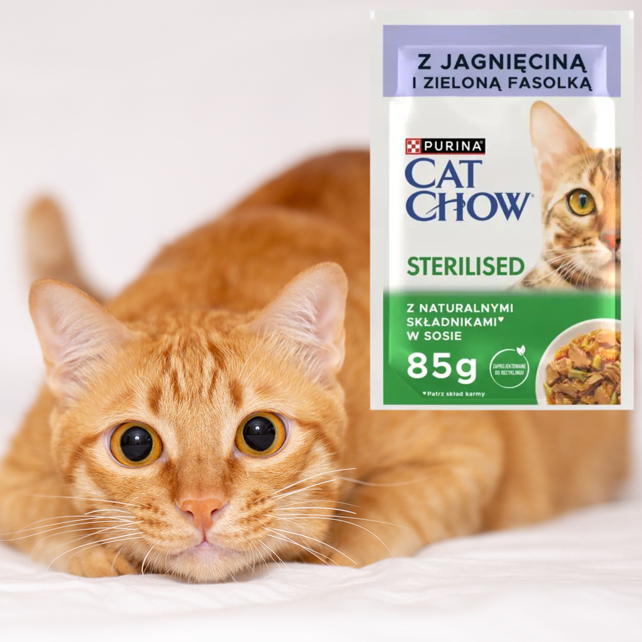 KARMA MOKRA DLA KOTÓW STERYLIZOWANYCH CAT CHOW JAGNIĘCINA Z FASOLĄ 85 g