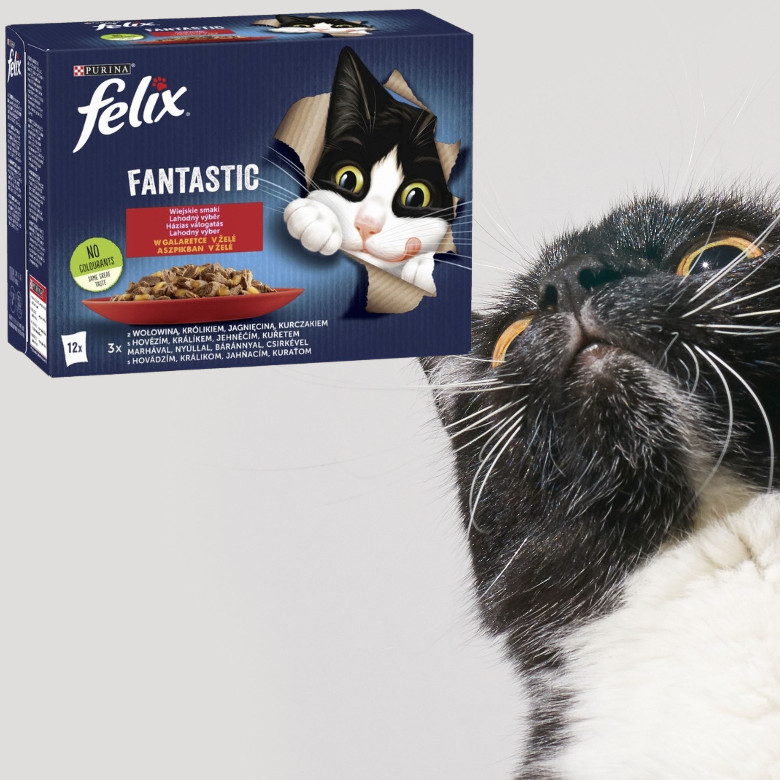 KARMA MOKRA DLA KOTA FELIX FANTASTIC WIEJSKIE SMAKI MIX Z MIĘSEM 12 X 85G