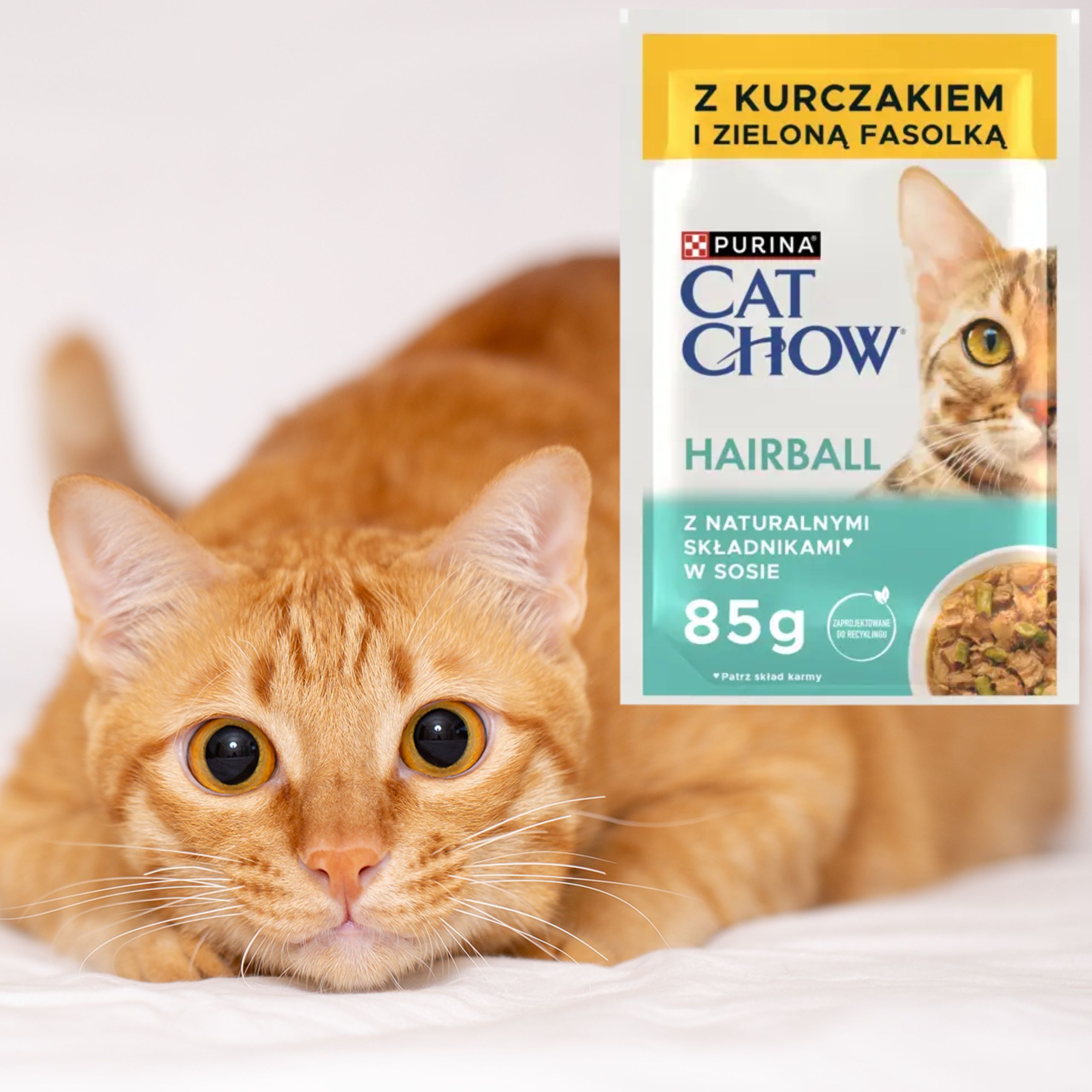 KARMA MOKRA DLA KOTA PURINA CAT CHOW HAIRBALL KURCZAK Z ZIELONĄ FASOLKĄ 85g