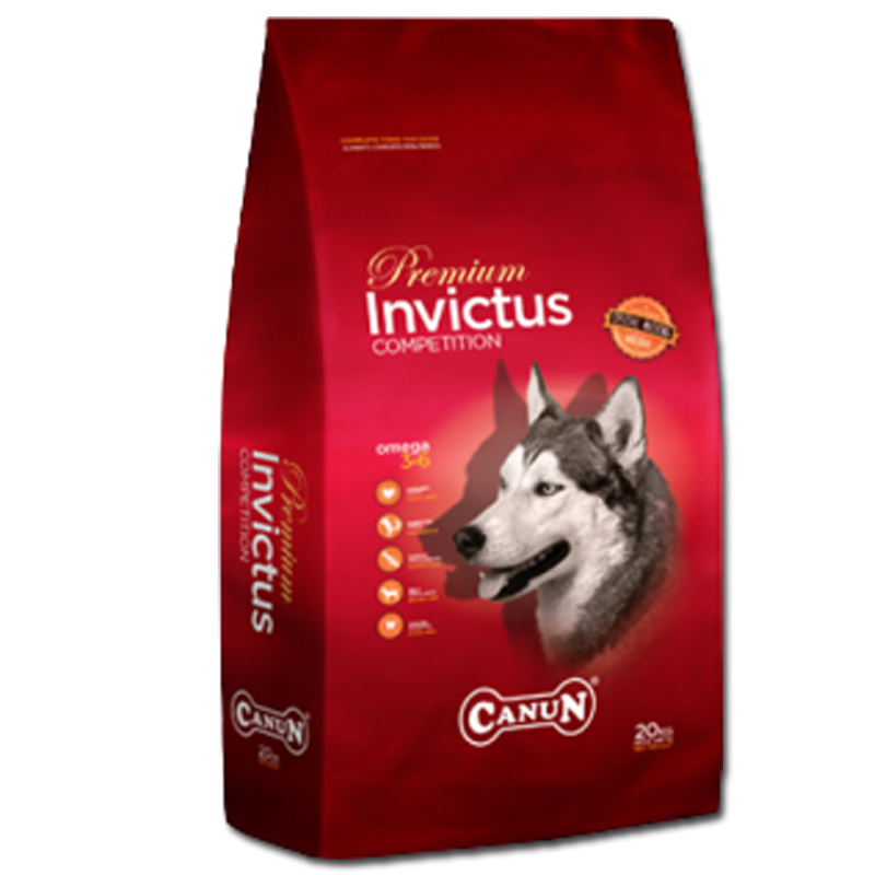 Canun Invictus 20kg karma premium dla psa z jagnięciną i rybą