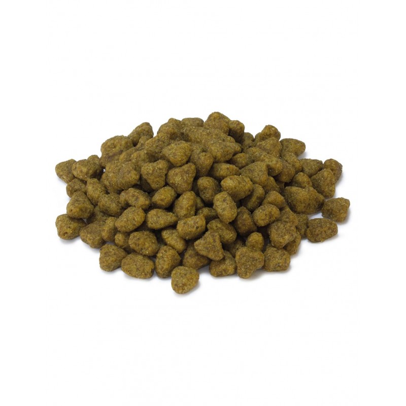 ARQUIVET CAT Sucha karma dla kotów sterylizowanych z indykiem 1,5 kg