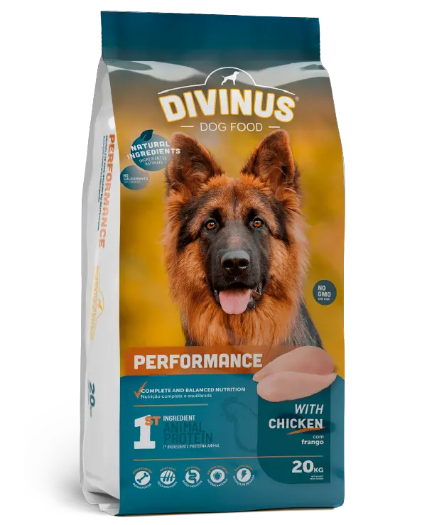 Divinus Performance dla owczarka niemieckiego 20kg