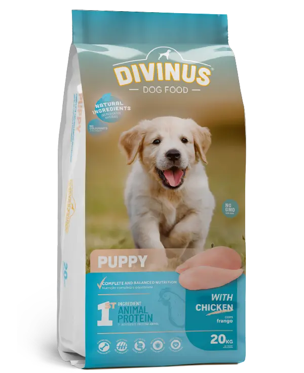 Divinus Puppy dla szczeniąt 20kg