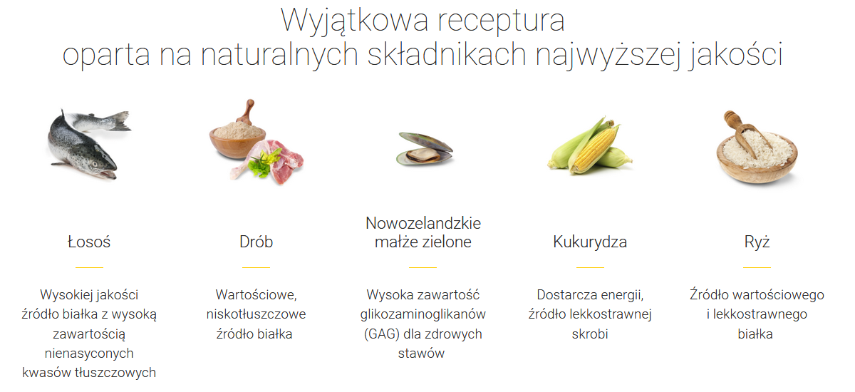 Josera Festival Karma Dla Dorosłych Psów Średnich I Dużych Ras 12,5kg