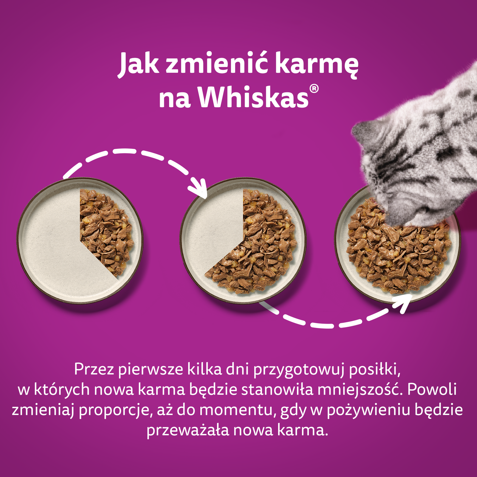 Whiskas Adult Saszetki 40 x 85g Mix Smaków - Mokra Karma Dla Kota