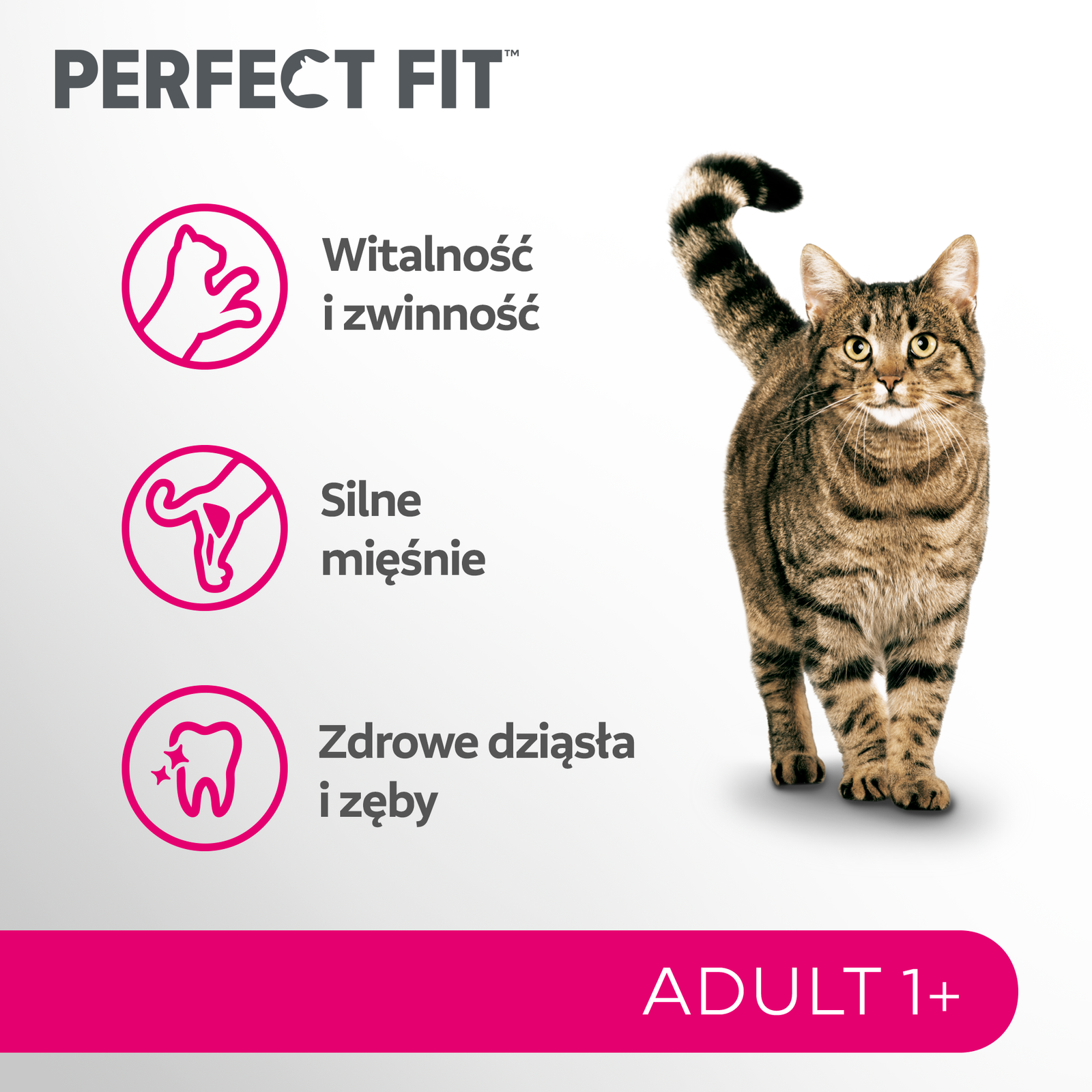 PERFECT FIT Adult 1+ Z Kurczakiem 7kg