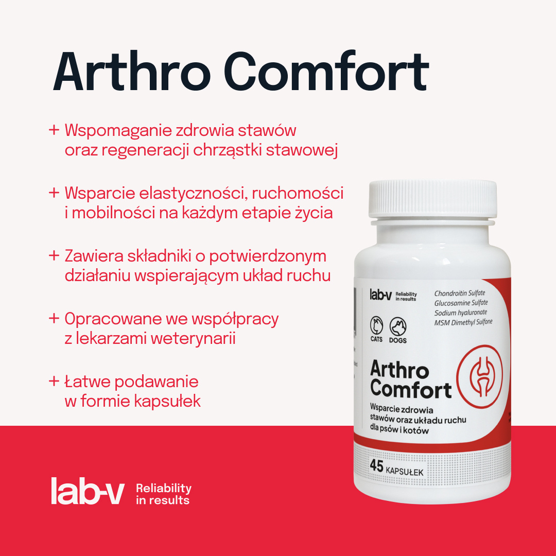 Lab-v Arthro Comfort Kompleksowe Wsparcie Zdrowia Stawów I Układu Ruchu Dla Psów I Kotów 45 Kapsułek
