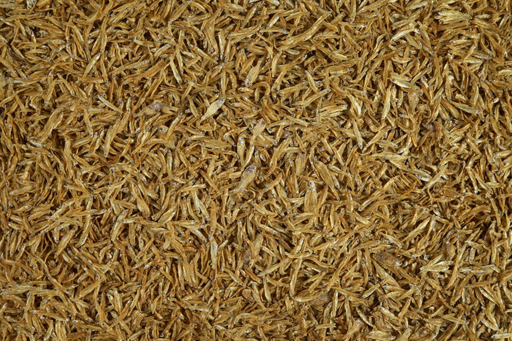 Tetra Anchovies 1l