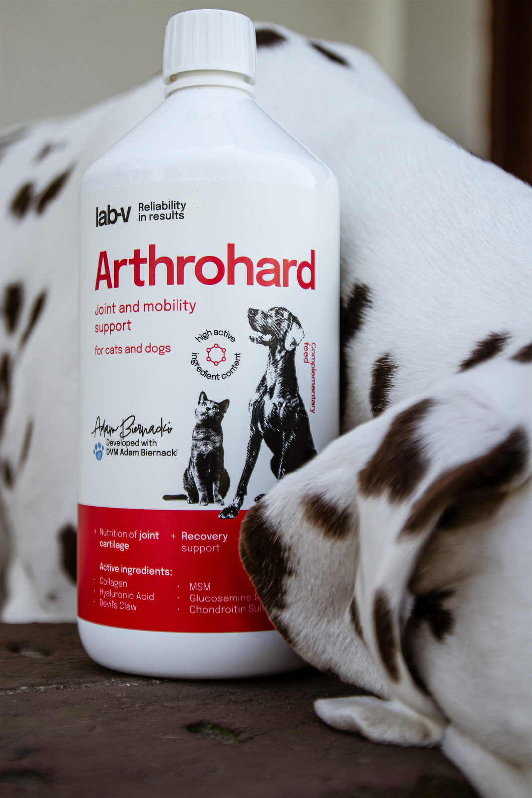 LAB-V Arthrohard Preparat Na Wsparcie Stawów Dla Psa I Kota 1000 Ml