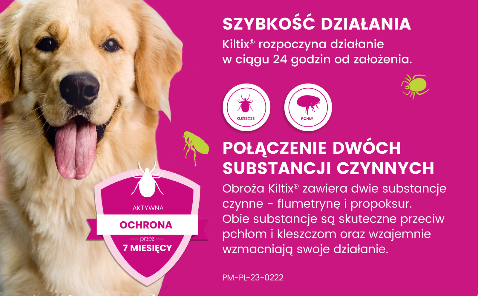 Bayer Kiltix Obroża Na Kleszcze I Pchły Dla Psa 70cm