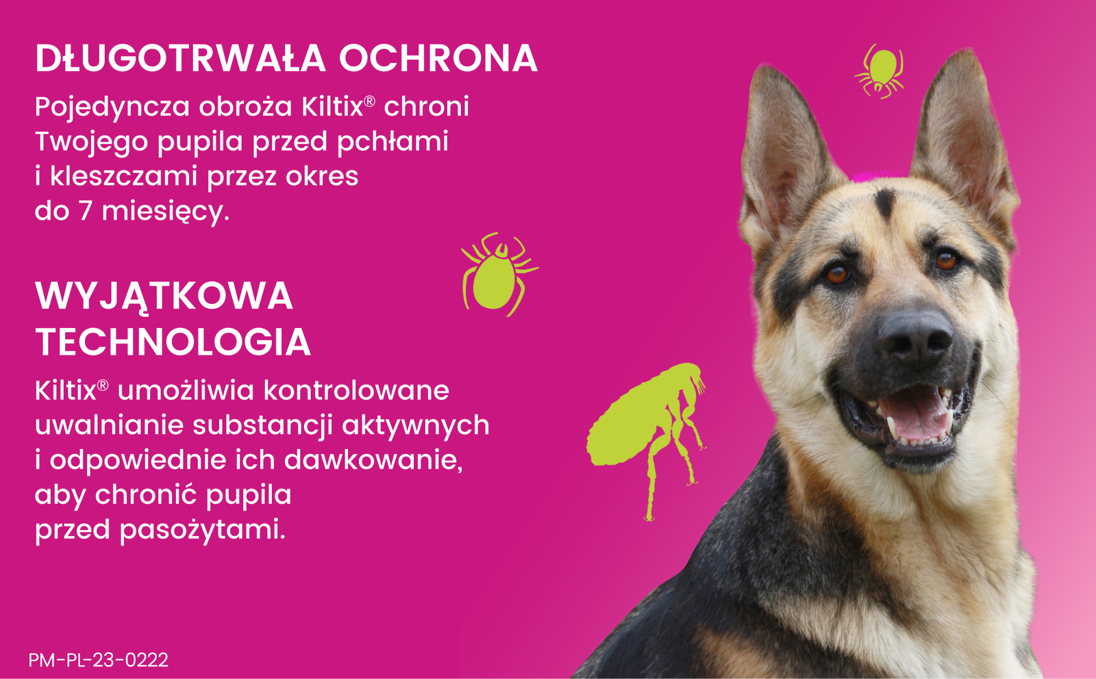 Bayer Kiltix Obroża Na Kleszcze I Pchły Dla Psa 70cm