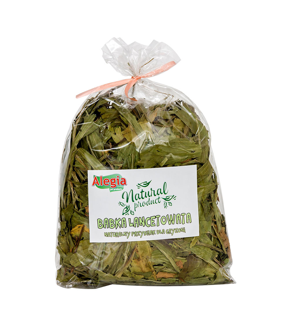 ALEGIA Babka Lancetowata 100g