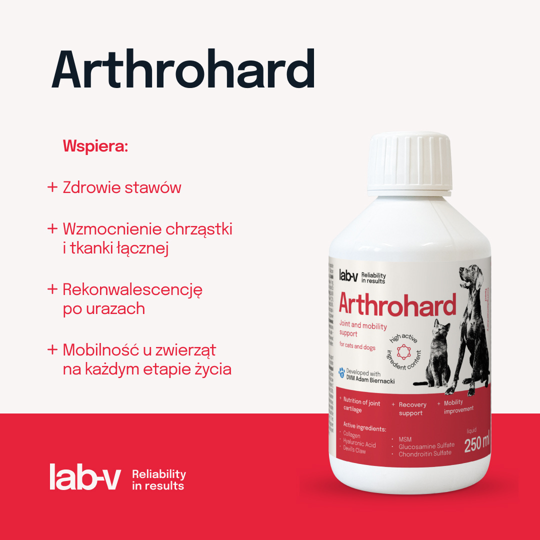 Arthrohard® Preparat Wspomagający Prawidłowy Rozwój I Funkcjonowanie Stawów U Psów I Kotów – Kolagen, Glukozamina, Chondroityna, MSM I Kwas Hialuronowy