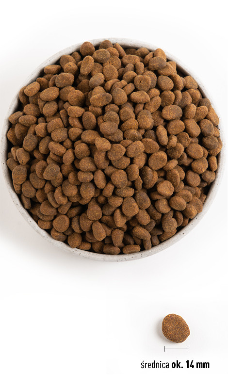 ORIJEN Tundra Dog 6kg