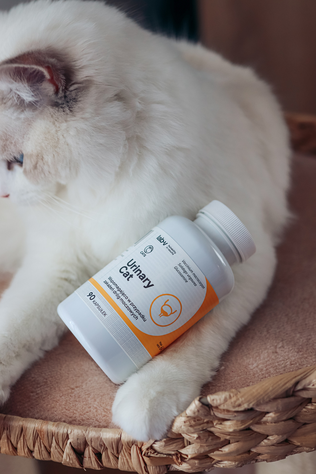 Lab-v Urinary Cat Wsparcie Układu Moczowego Dla Kotów 90 Kapsułek