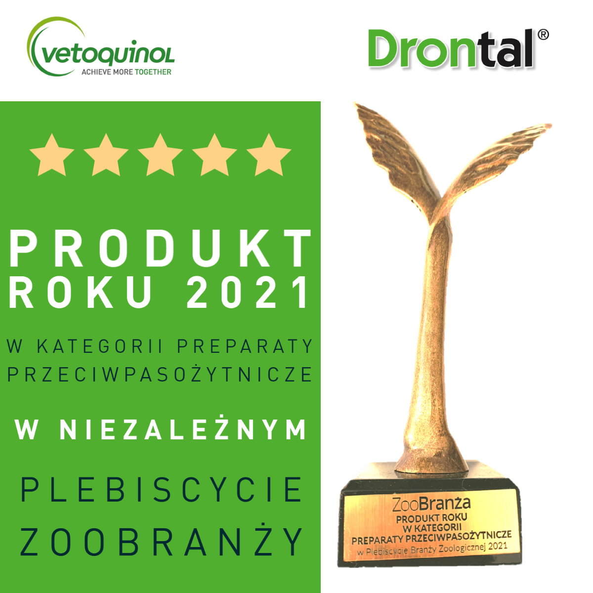 VETOQUINOL Drontal - Dog Flavour Tabletki Dla Psów 2tabl. (kostki)