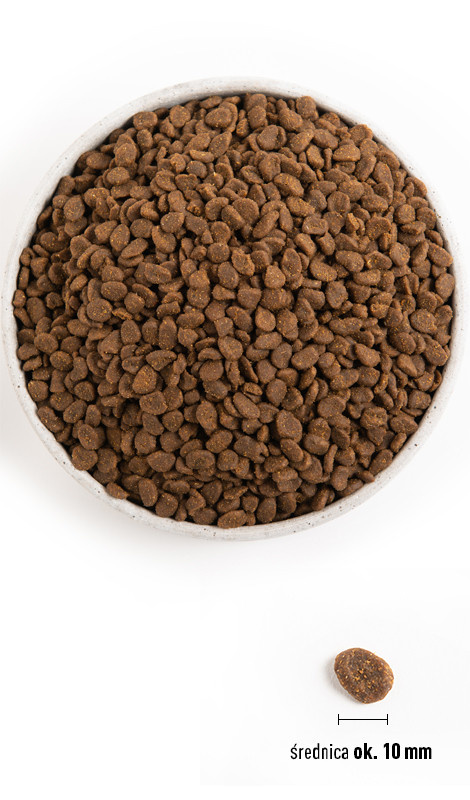 ORIJEN Six Fish Cat 340g