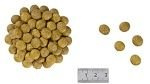 ROYAL CANIN Renal Feline 2kg