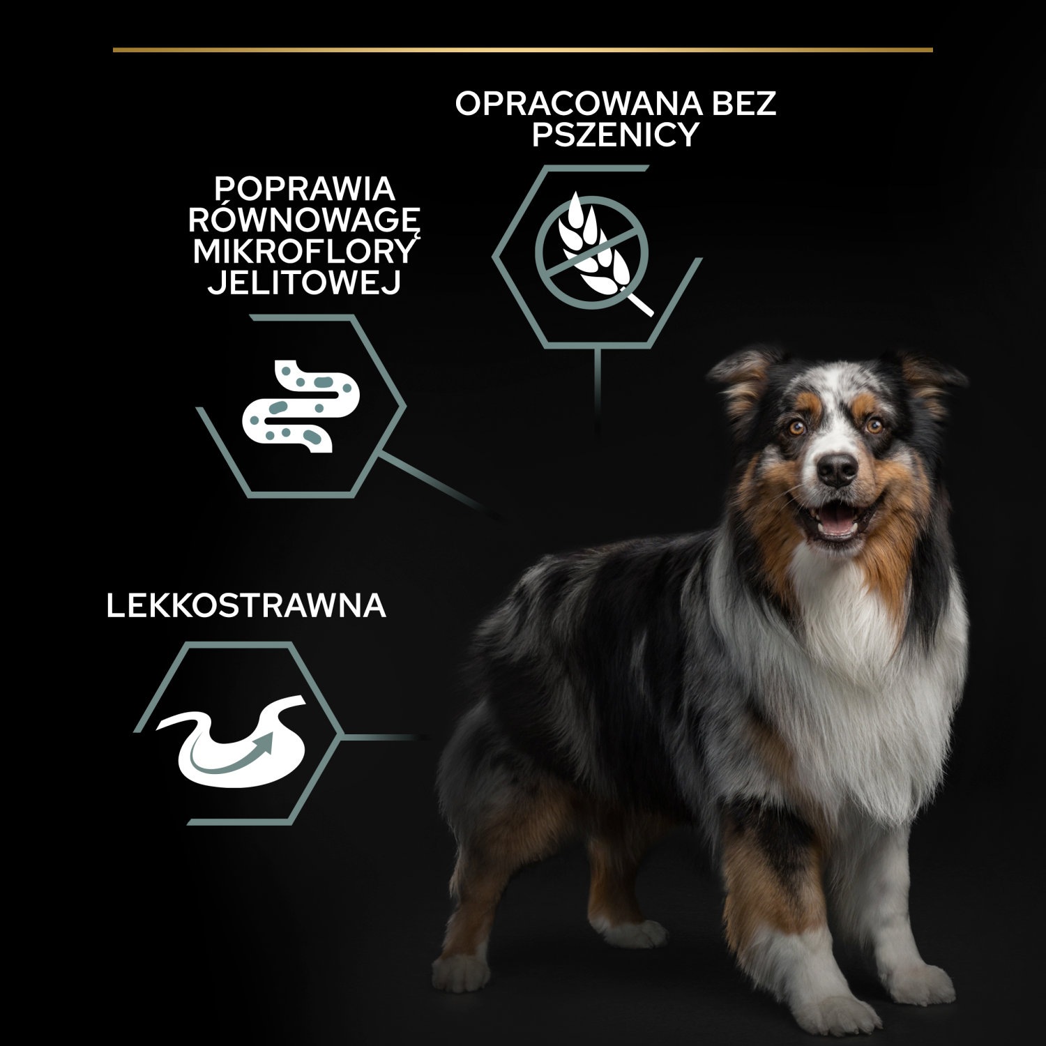 Purina Pro Plan Adult Medium&Large Digestion OptiDigest 12kg