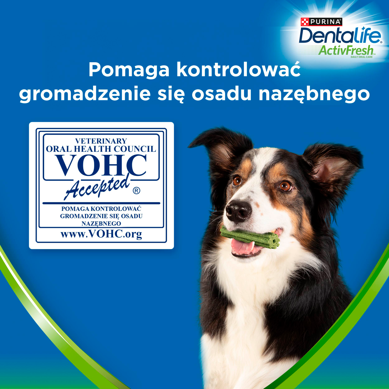 Purina Dentalife Activefresh Przysmak Dla Psa 142g 4 Sztuki