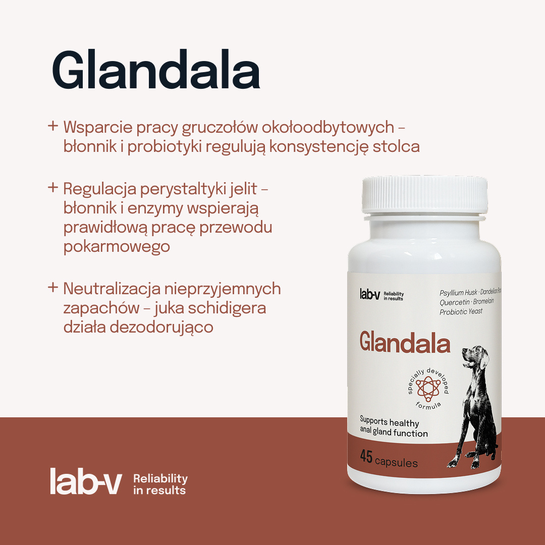 Lab-v Glandala Wsparcie Gruczołów Okołoodbytowych i Przewodu Pokarmowego 45 Kapsułek