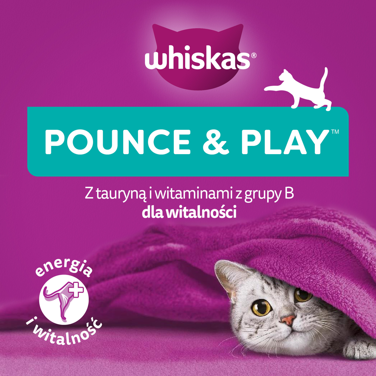 Whiskas Energia I Witalność Przysmak Dla Kota Z Kurczakiem 45g