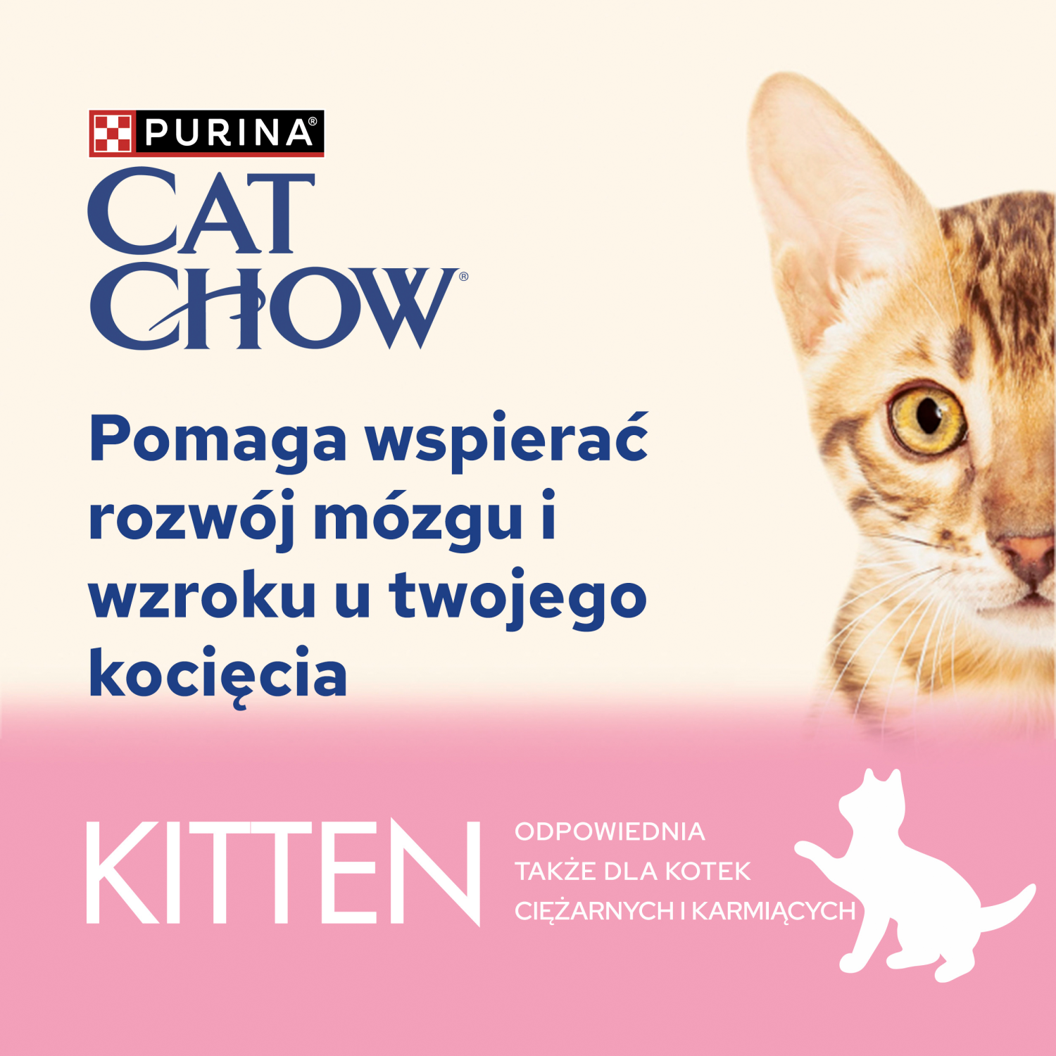Purina Cat Chow Kitten Karma Z Jagnięciną I Cukinią W Sosie 85g