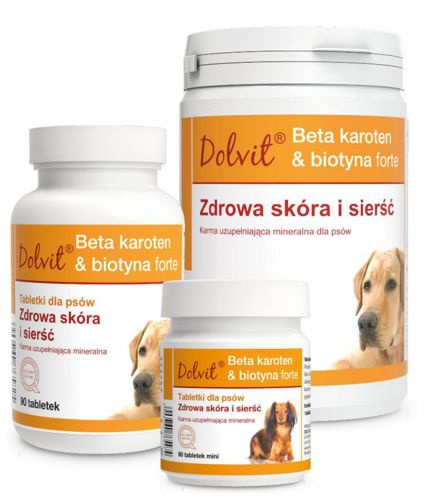 Dolfos Dolvit Beta Karoten & Biotyna Forte Mini 90 Tabletek