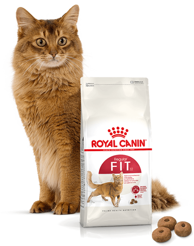 ROYAL CANIN Fit 32 2kg