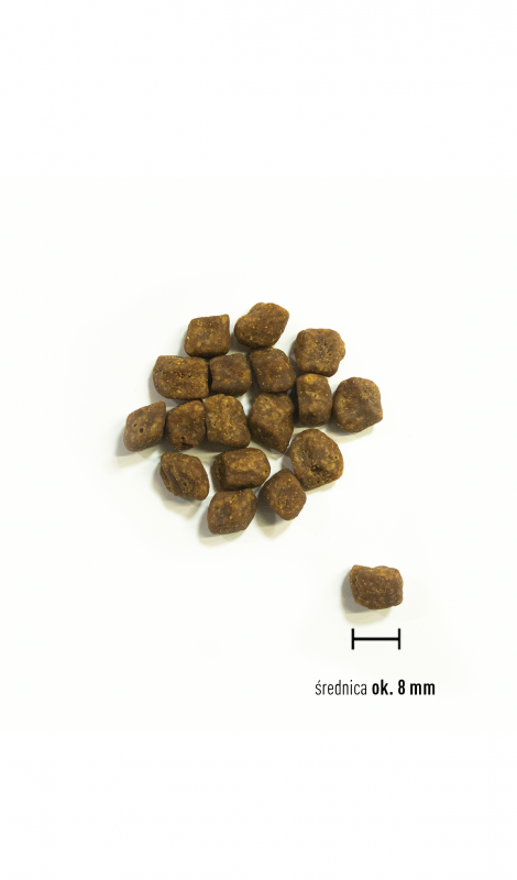 ORIJEN  SMALL BREED PUPPY 1,8 KG