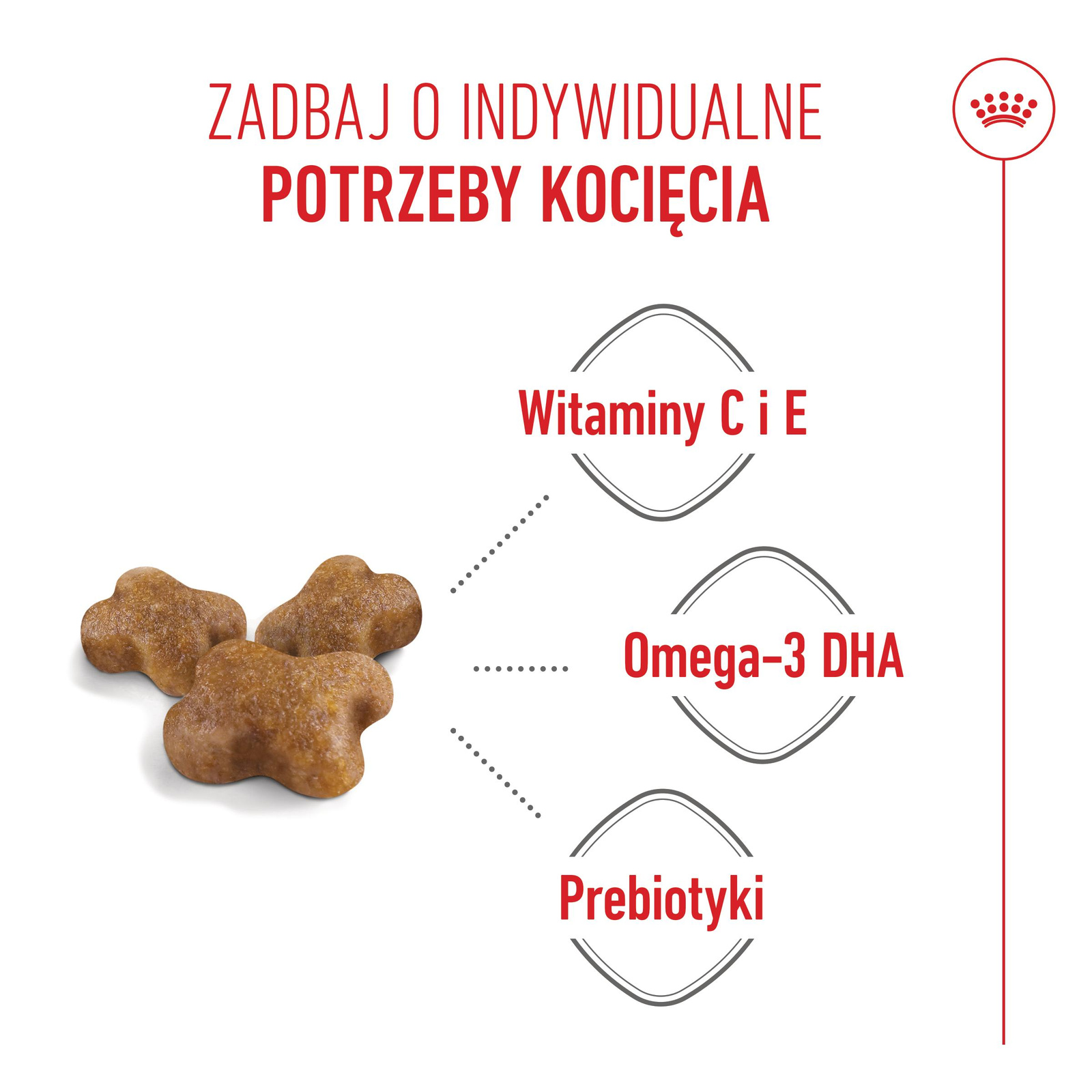 ROYAL CANIN  Kitten 2kg