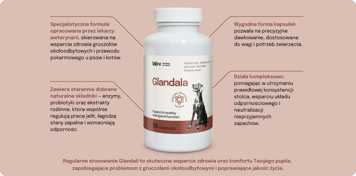 Lab-v Glandala Wsparcie Gruczołów Okołoodbytowych i Przewodu Pokarmowego 90 Kapsułek