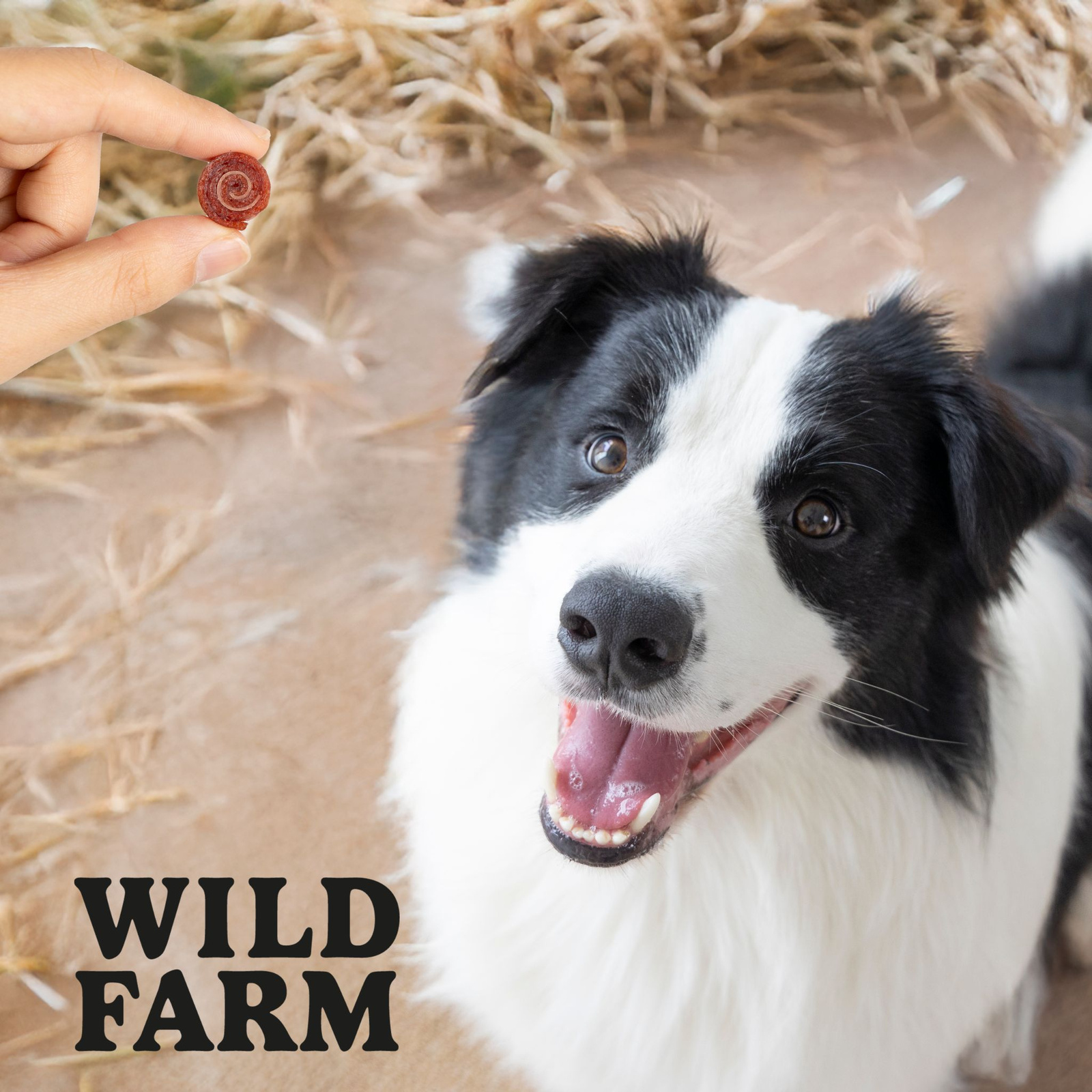 WILD FARM Rollsy Z Kaczki Przysmak Dla Psa 500G