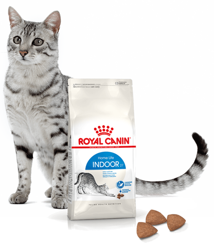 ROYAL CANIN Indoor 27 10kg