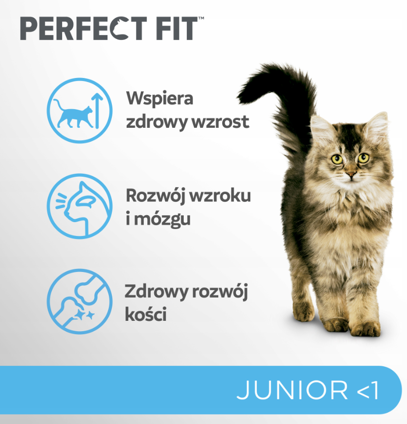 ittenFit Junior Kurczak 7 kg – pełnoporcjowa sucha karma dla kociąt