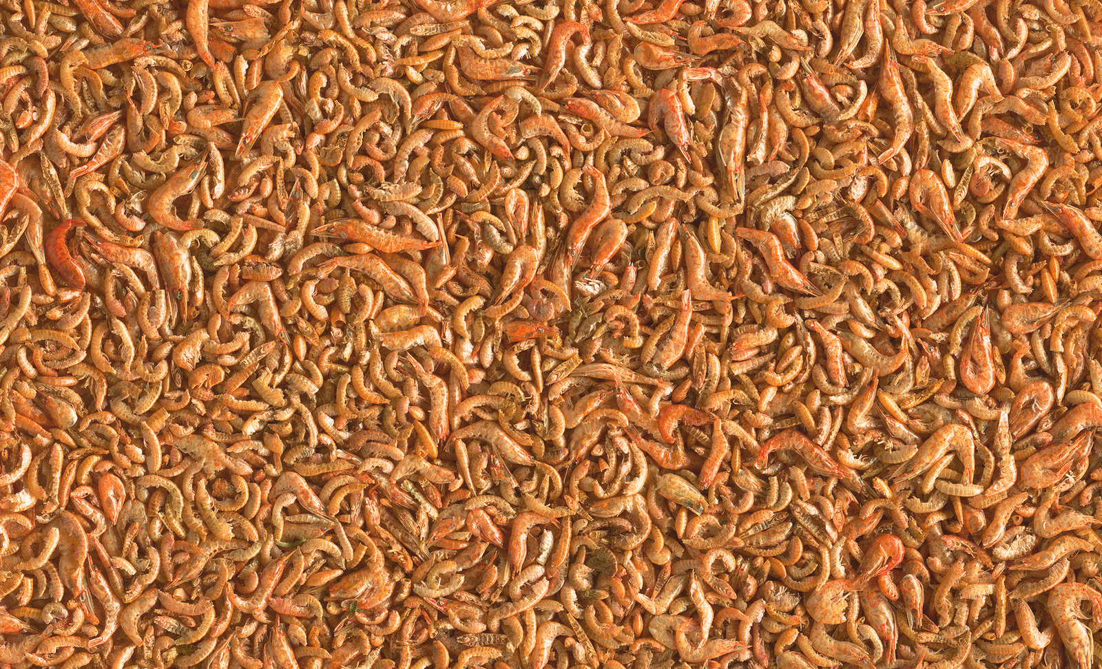 Tetra Pond Shrimp Mix 1l