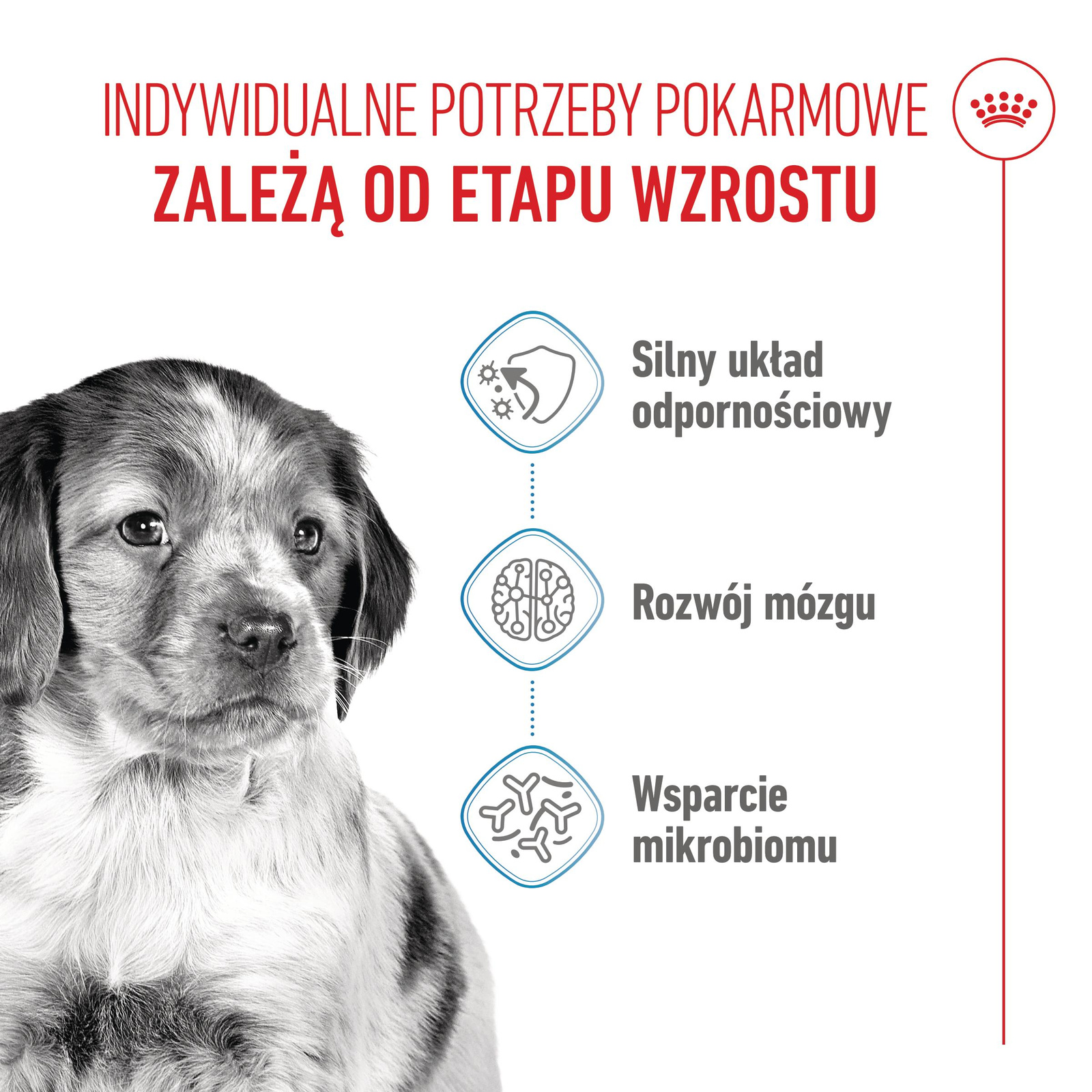 ROYAL CANIN Medium Puppy 15kg