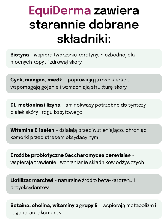 Lab-v EquiDerma Mieszanka paszowa uzupełniająca dla koni i kucyków wspierająca kondycję skóry, sierści i kopyt 2000g