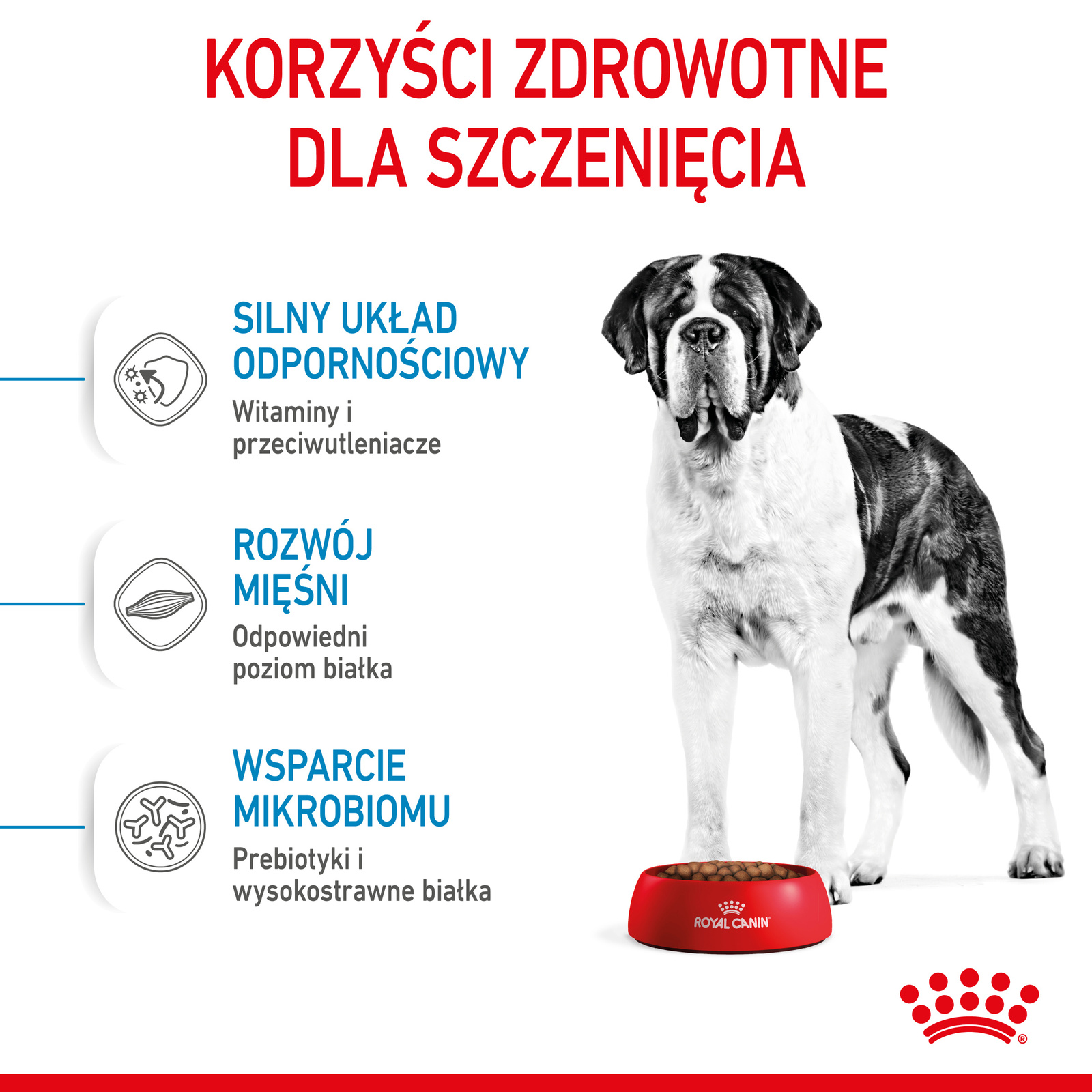 ROYAL CANIN Giant Junior 15kg