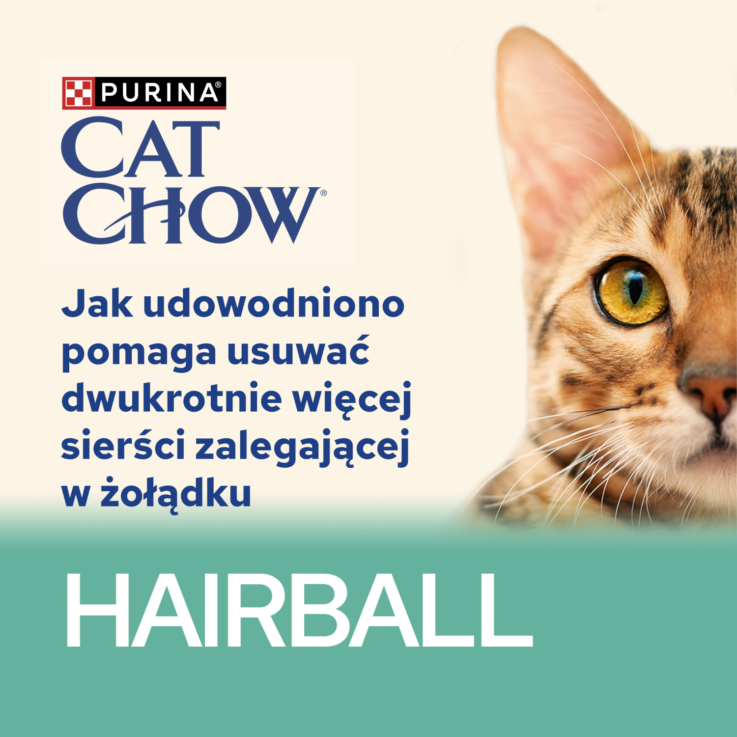 Purina Cat Chow Hairball Karma Z Kurczakiem I Zieloną Fasolką W Sosie 85g