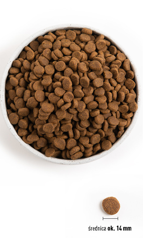 Orijen Senior 11,4kg