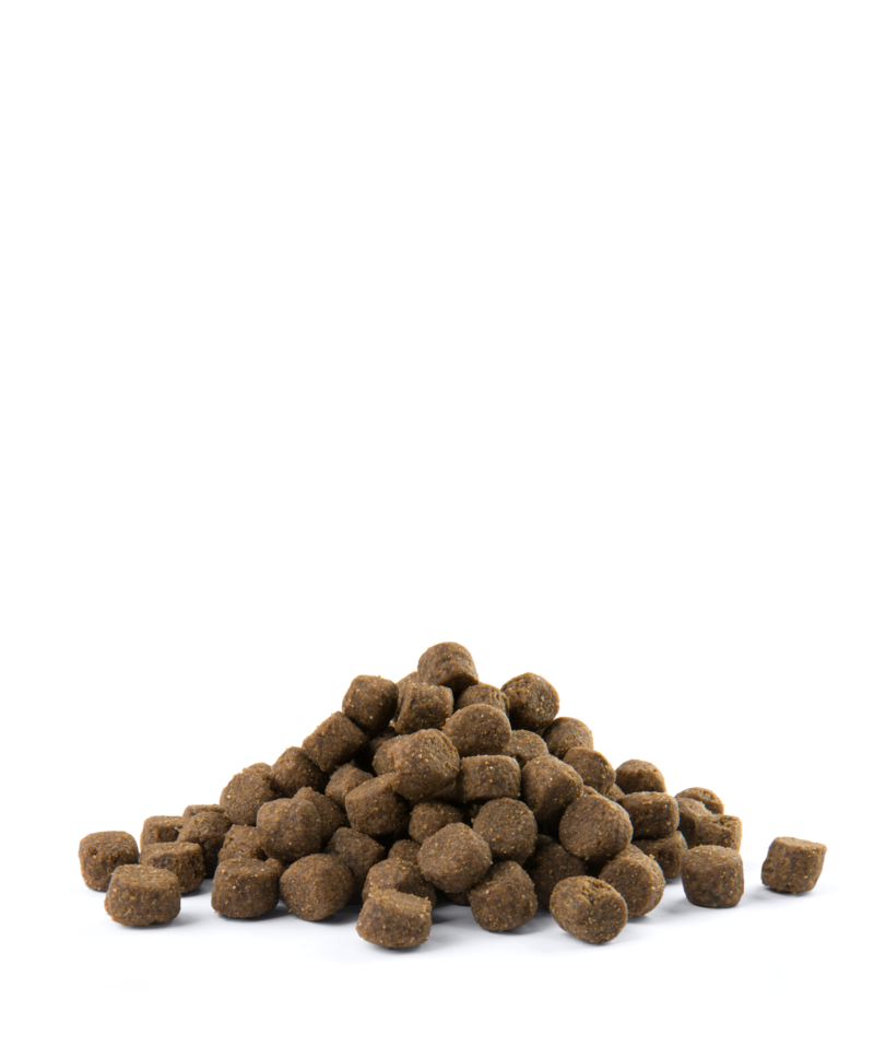 Versele-Laga Opti Life Adult Digestion Medium&Maxi Jagnięcina Z Ryżem 12,5kg