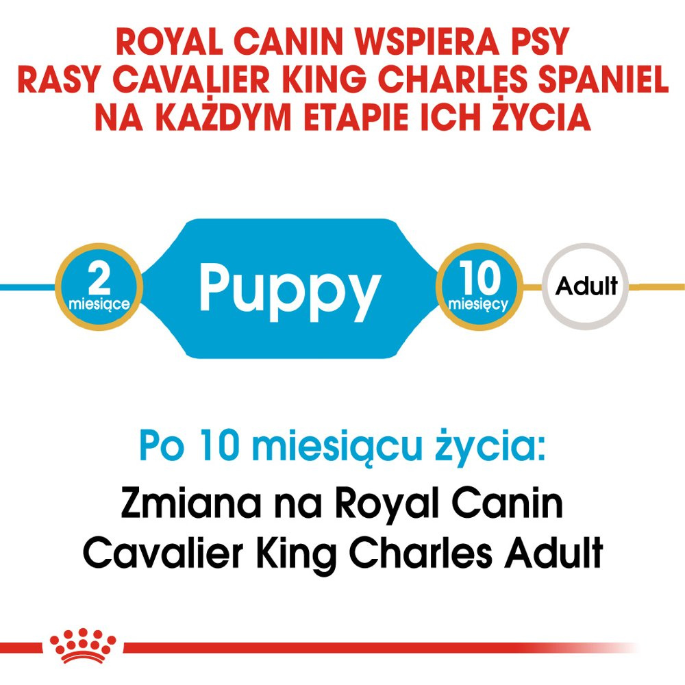 ROYAL CANIN Cavalier King Charles Spaniel Puppy 1,5kg