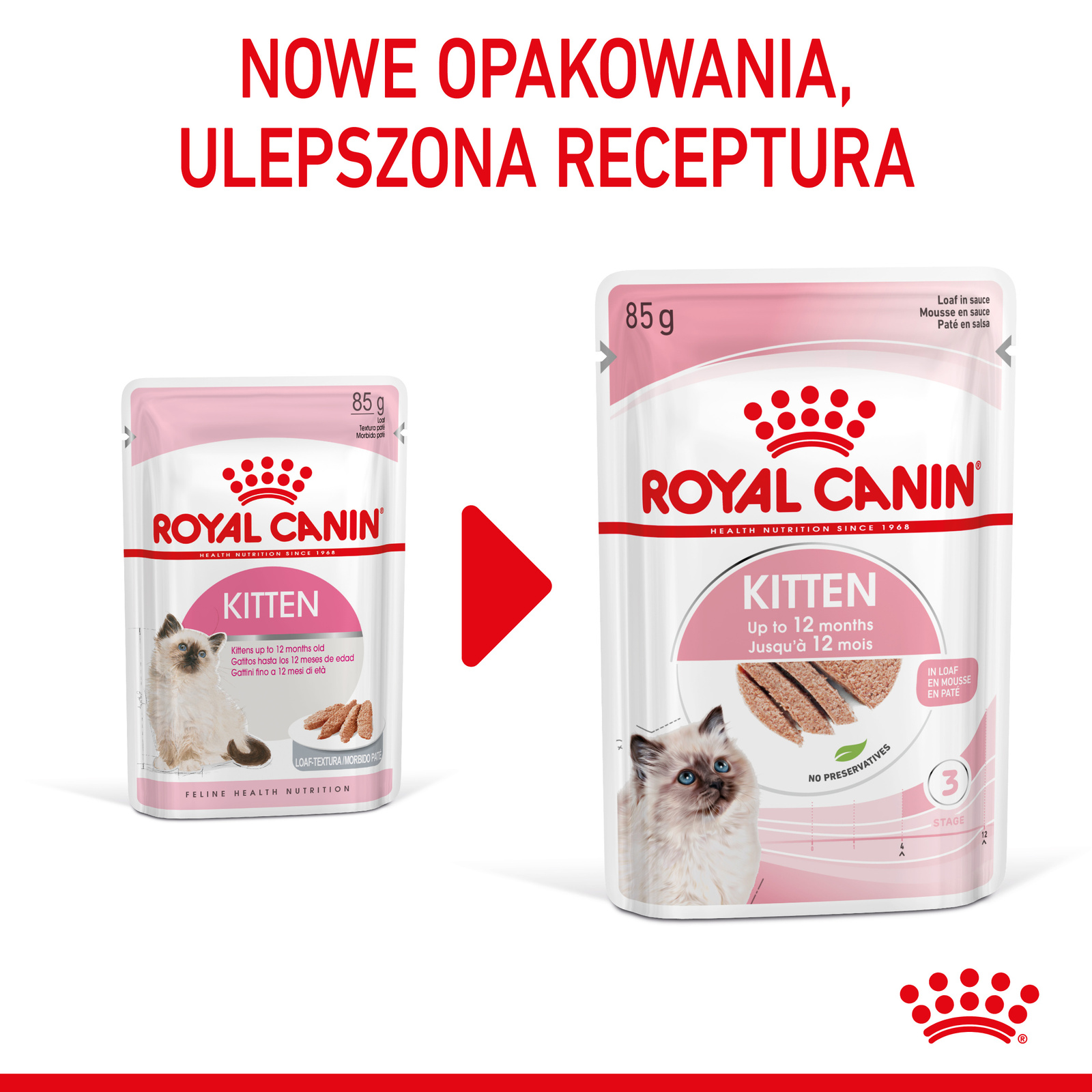 ROYAL CANIN Kitten Pasztet 12x85g