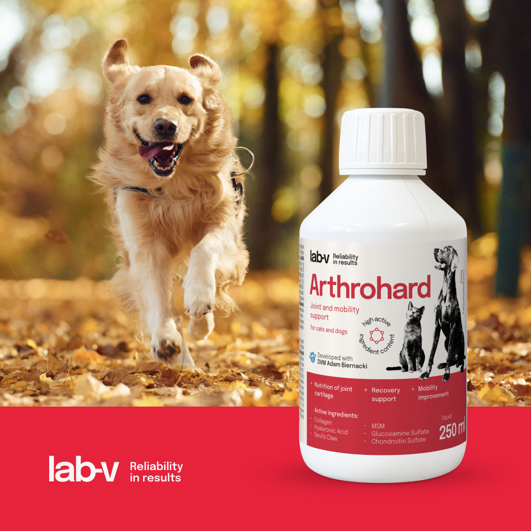 Arthrohard® Preparat Wspomagający Prawidłowy Rozwój I Funkcjonowanie Stawów U Psów I Kotów – Kolagen, Glukozamina, Chondroityna, MSM I Kwas Hialuronowy