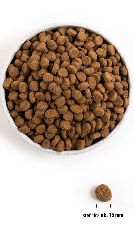 Orijen Dog Puppy Large 11,4kg