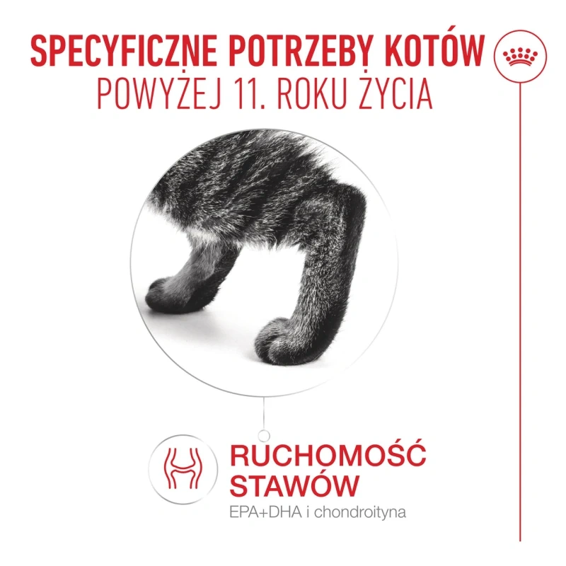 Royal Canin Senior Ageing 11+ — mokra karma w galaretce dla kotów starszych, 12 x 85 g